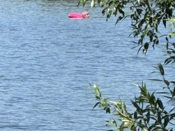 Mainschwimmen Juni 2026